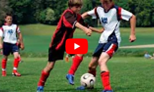 Riproduci Video